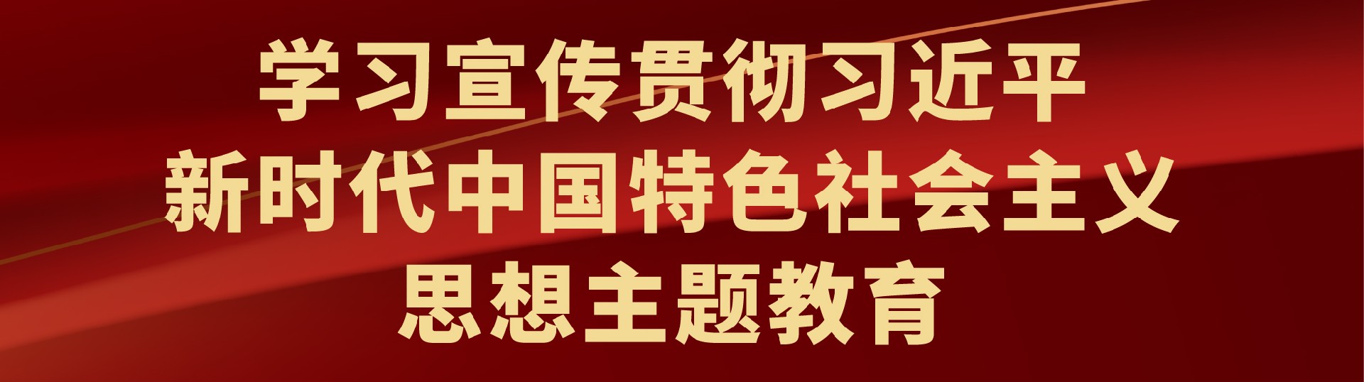 新時代中國特色社會主義思想主題教育
